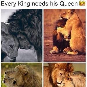 Meet your Posher, Herman